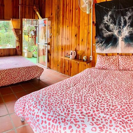Moc Gia Vien Homestay - Da Lat Dış mekan fotoğraf